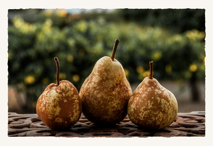 Three Pears_DSC7198_