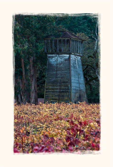 Water tower_